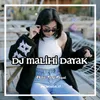 DJ DAYAK MALIHI JANJI