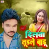 About Dilwa Turale Baru Song