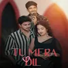 About Tu Mera Dil Song