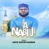 About A Nabi Ji Song