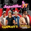 About Sapatilha 37 Song