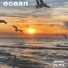 About OCEAN INSTRUMENTAL Song