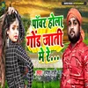 About Pawer Hola Gond Jaati Me Re Song