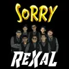 About Sorry Song