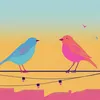 Ambient Birds Sounds, Pt. 2780