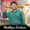 About Mallipu Vechinu Song