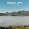 About Endless Love Song