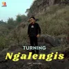 About Ngalengis Song