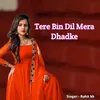 About Tere Bin Dil Mera Dhadke Song