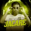 Jacaré