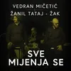 About Sve Mijenja Se Song