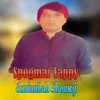 About Spogmai Tappay Song