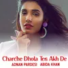 About Charche Dhola Teri Akh De Song