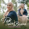 About Tak Seperti Biasa Song