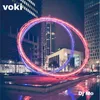 VOKI NEW INSTRUMENTAL