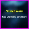 About Raza Che Meena Sara Wakro Song