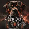 About Black Dog Song