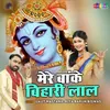 About Mere Banke Bihari lal Song