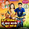 About BJP Dhokhebaj Ho Wada Kar Ke Bhul Jate Ho Song