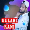 About Gulabi Rani Song