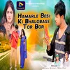 About Hamarle Besi Ki Bhalobase Tor Bor Song