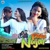 About Pahla Najar Song