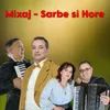 About Mixaj - Sarbe si Hore Song