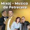 About Mixaj - Muzica de Petrecere Song