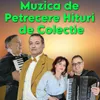 About Muzica de Petrecere Hituri de Colectie Song