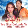 About Tere Ghar De Larde Ne Song