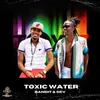 About Toxic Water Song