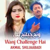 About Wanj Challenge Hai Song