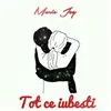 About Tot Ce Iubesti Song