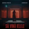 About Să vină ielele Song