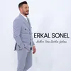 About Dilber Evin Barkın Yokmu Song