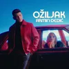 About Ožiljak Song