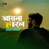 About Ayna Tui Chole Song