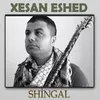 About Shingal Song