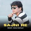 About Sajni Re Song