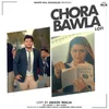 About Chora Bawla Lofi Song