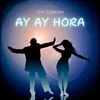 About Ay Ay Hora Song