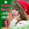 About Pagol Silam Tori Preme Song