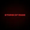 STORM OF RAGE