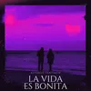 About La Vida Es Bonita Song