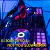 About DJ Not You Slow Remix Song