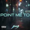 About Point Me To Song