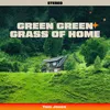 Green Green Grass Of Home