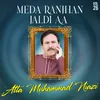 About Meda Ranjhan Jaldi Aa Song