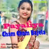 About Payaliya Cham Cham Bajela Song