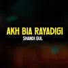 About Akh Bia Rayadigi Song